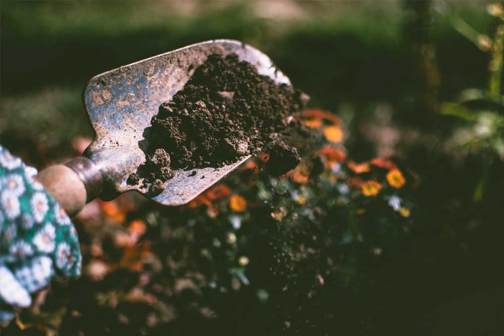 Gardening Services Gardening Services
