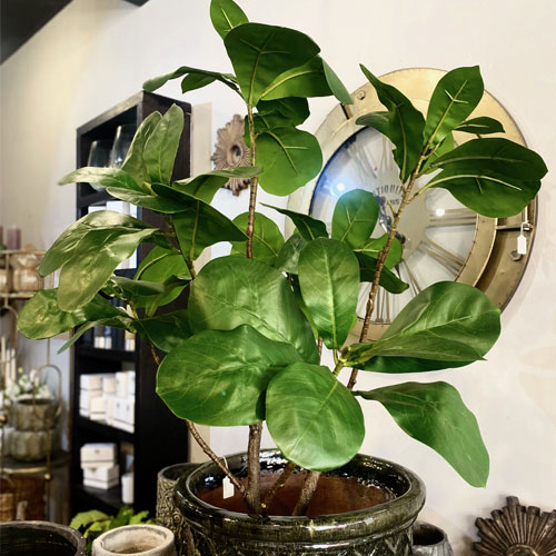 DELIVERING FRESH FLOWERS AND PLANTS LONDON AND NATIONWIDE