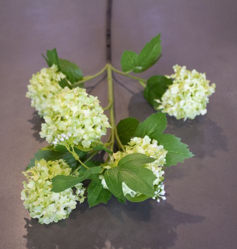 SILK VIBURNUM