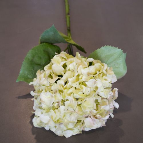 SILK CREAM HYDRANGEA